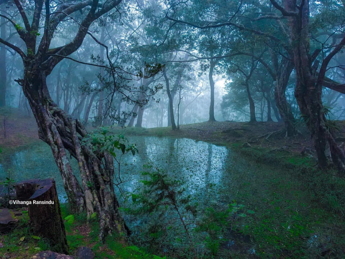 Nuwara Eliya
