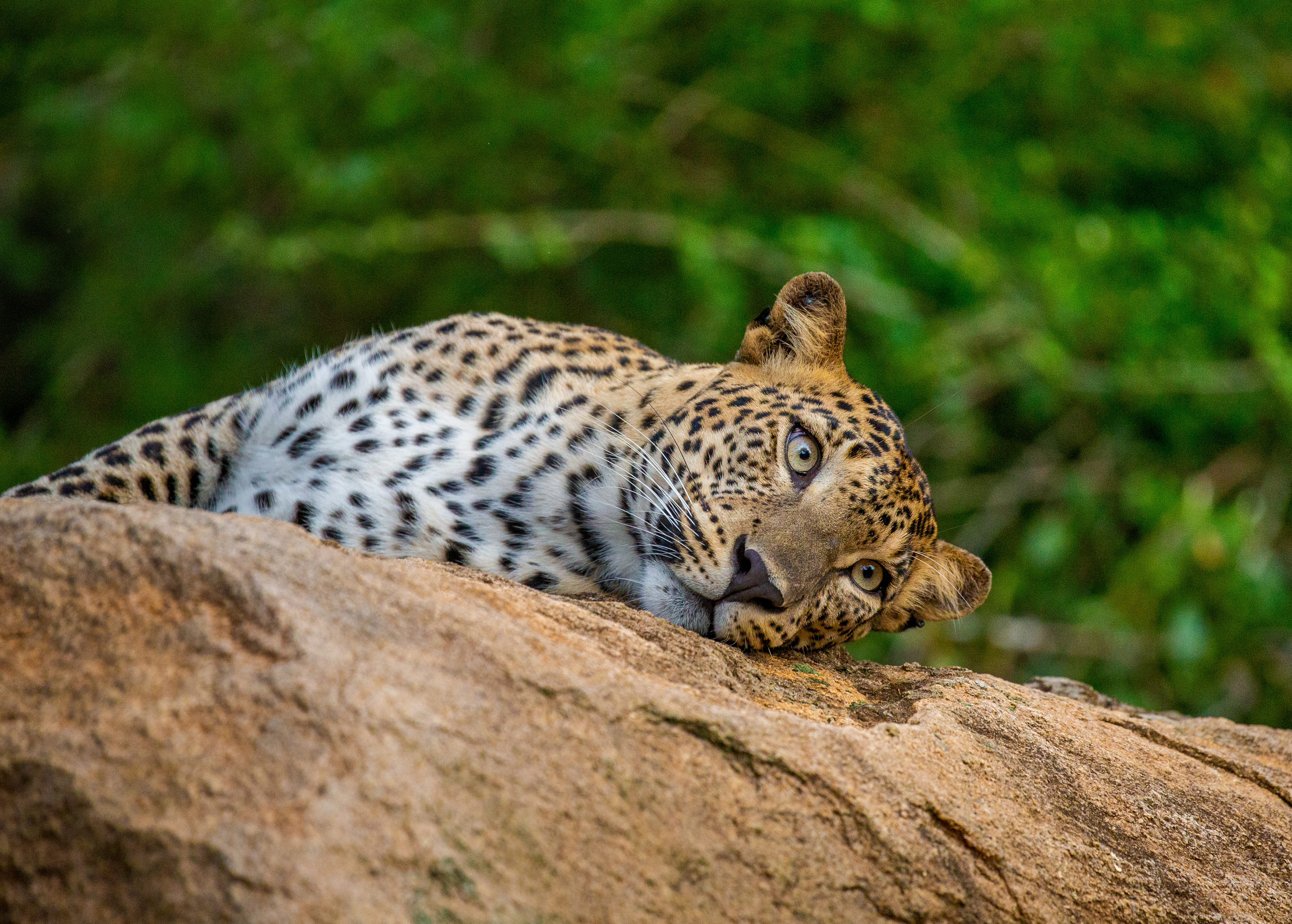 Sri Lankan Tourist Destinations